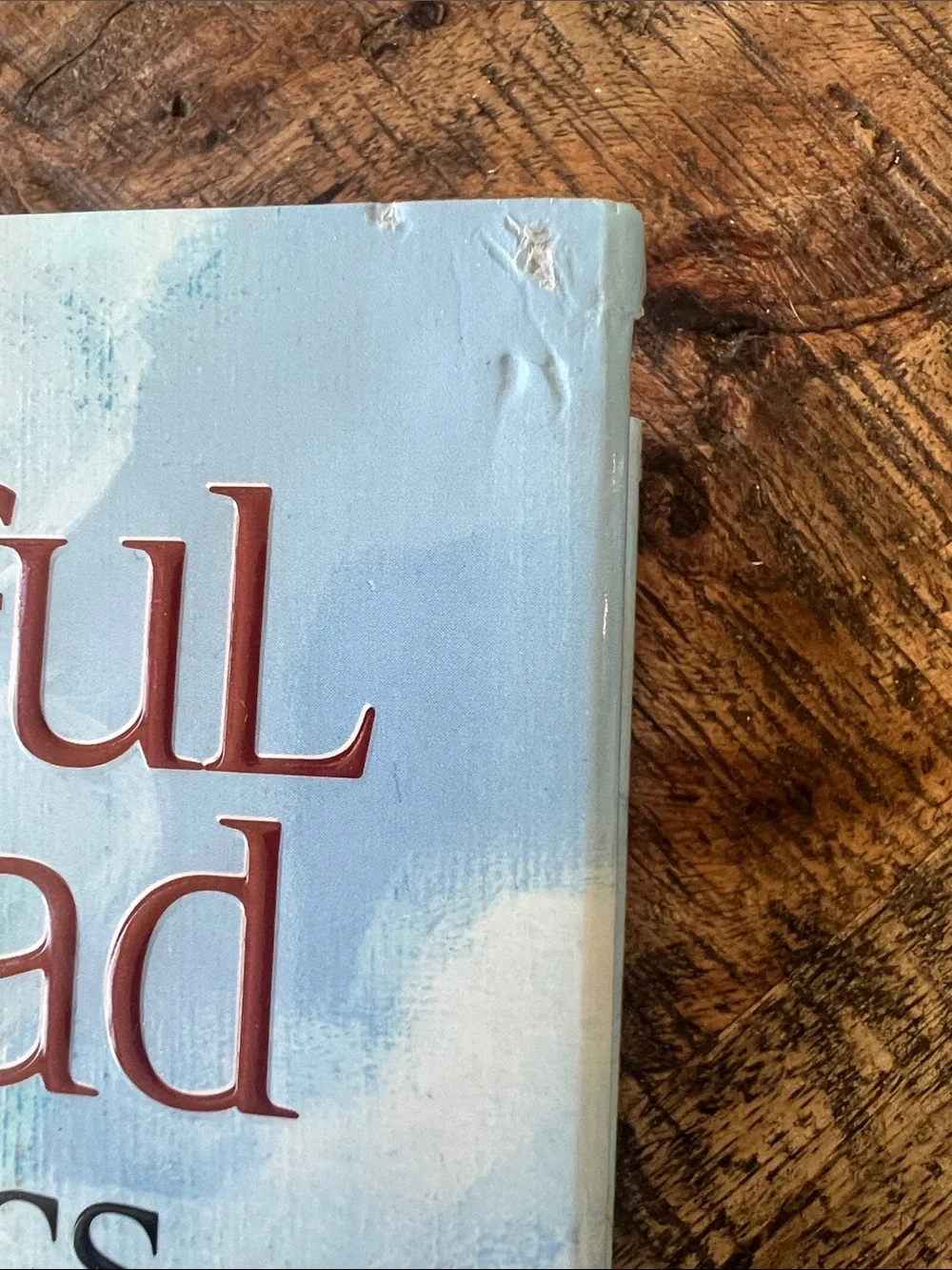 free press Grateful Dead Lyrics Book with Blue, Red, White Artwork - Picture 2 of 11